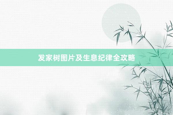 发家树图片及生息纪律全攻略