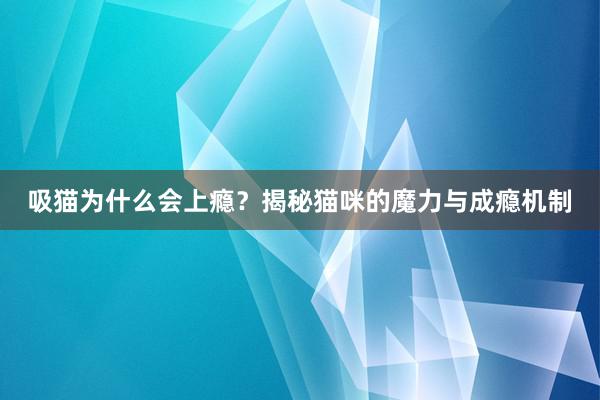 吸猫为什么会上瘾？揭秘猫咪的魔力与成瘾机制