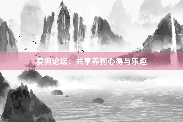爱狗论坛：共享养狗心得与乐趣